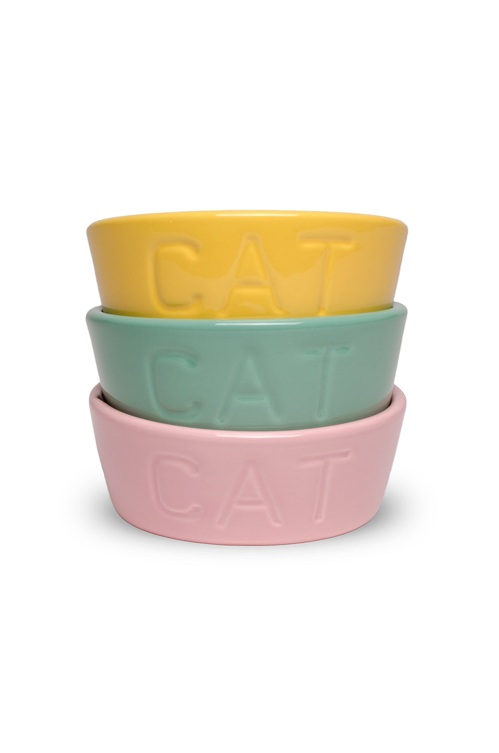 CAT DISH - SECONDS